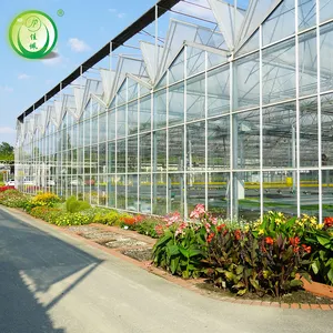 High Efficient Venlo Tempered Glass/Hollow PC Board Greenhouse Multi Span Commercial Greenhouse Hydroponics System Greenhouse