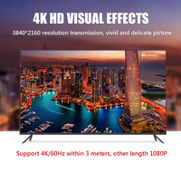 HDTV Dişi Dişi Adaptör DC 4K 60Hz Bağlayıcı Genişletici Düz Altın Kaplama Dizüstü Bilgisayar PC TV Monitörü Cep Telefonu Oyun Oynatıcısı için