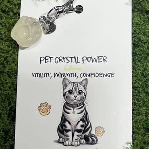 Talisman <span class=keywords><strong>de</strong></span> Energía para Perros con Piedra <span class=keywords><strong>de</strong></span> Cristal Natural, Joyería Curativa, Gema <span class=keywords><strong>de</strong></span> Reiki Emocional, Amuleto <span class=keywords><strong>de</strong></span> la Suerte para Mascotas, Colgante para Collar <span class=keywords><strong>de</strong></span> <span class=keywords><strong>Gato</strong></span>, Colgante <span class=keywords><strong>de</strong></span> Pata - Product Image 2