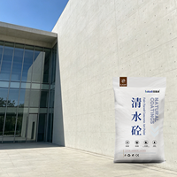 Revêtement architectural en béton artistique, moderne, minimaliste, sans joint, à séchage rapide, pour une couverture efficace, idéal pour les salles de jeux et les clubs.