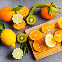Poudre de vitamine C de qualité alimentaire, acide ascorbique, additif nutritionnel pur, ingrédient haute puissance, approvisionnement en vrac en usine