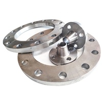 Bride aveugle forgée en acier au carbone ASTM A234 WPB, norme ASME B16.5 ANSI, polie, type RF
