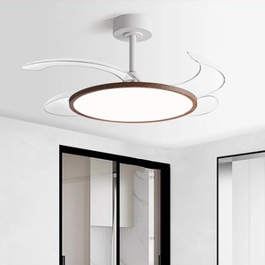 Invisible <b>Fan</b> Light Led <b>Ceiling</b> <b>Fan</b> Fixed Blade For Living Room Bedroom Home Use 5 Year Warranty - Product Image 1