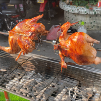 Barbecue à charbon d'acier inoxydable pliable automatique avec brochettes rotatives, idéal pour l'intérieur et le camping, pour la cuisson de la viande