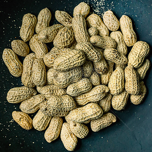 Meilleur prix pour des cacahuètes brutes séchées en vrac pour le marché <span class=keywords><strong>de</strong></span> gros, cacahuètes <span class=keywords><strong>de</strong></span> qualité supérieure prêtes pour l'emballage en vrac et la distribution - Product Image 4