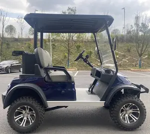 Op Batterijen Werkende Lood Zuur Blauw Aangepaste Voorbumper 2-zits Golfkar Elektrisch