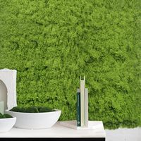 Gazon artificiel en plastique imitation mousse, bonsaï en pot, micro-paysage vert, aménagement extérieur de Noël, résistant aux UV