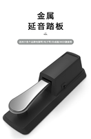 Beisite Sustain Single Pedal for Digital Piano Organ