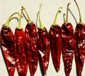 Dried red chili pepper 2022