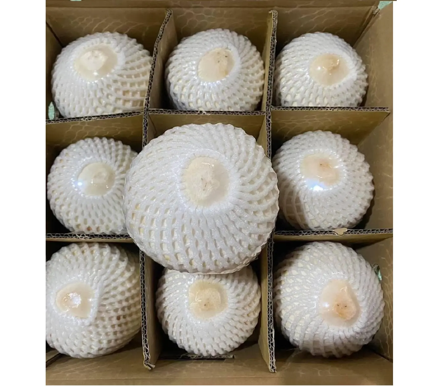 Number One Tropical Fruit/ No Preservations Fresh Coconut Coconut Water From Vietnam Top Supplier