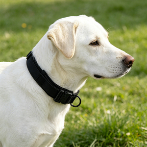 Collare Tattico per Cani in Nylon Personalizzato all'Ingrosso, Imbottitura Morbida in Neoprene, Fibbia in Metallo Tipo Cobra, Logo Incidibile per Razze di Cani Grandi e Medi - Product Image 2