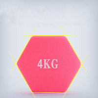 Ensemble d'haltères hexagonales Gym Pure Strength 1KG-10KG pour entraînement sportif et fitness