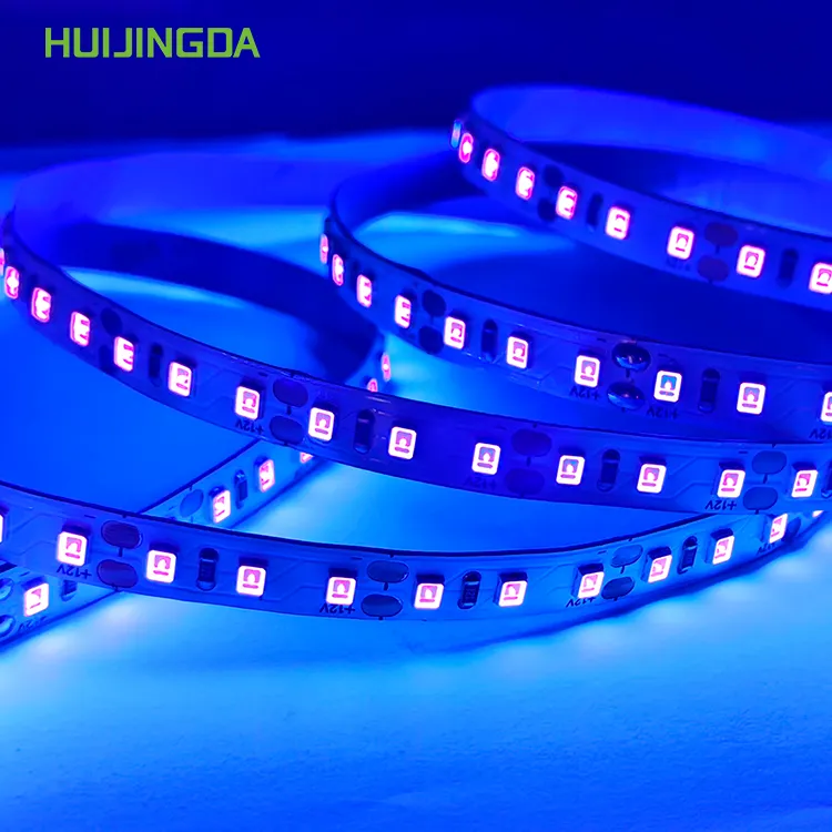 Luce viola UV 365 395NM 12V 24V 2835 SMD 120led/m 5m led strip light