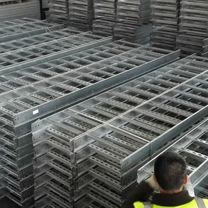 Long Life Heavy Duty Cable Ladder Hot Dipped Galvanized Anti-corrosion Factory Supply Ladder Type Cable Tray