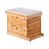 Ruches à abeilles en bois à 2 niveaux et 10 cadres, faciles à assembler, kit de ruches modernes et écologiques pour l'apiculture