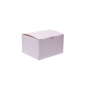 Indicador Biológico para Prueba de Esporas en Autoclave de Vapor, 20min - Product Image 6