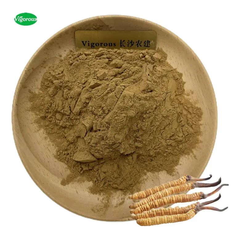 Bubuk Sinensis Cordyceps Alami Jamur Cordyceps 1% Cordycepin