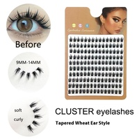 Auto-greffage Cluster Segment Diy Lash Extension Vente en gros Pré-colle Cat Eye Lashes Lash Extension Wispy Faux Cils