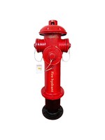 Borne d'incendie extérieure hors sol SS100/65-16