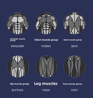 Roue d'entraînement abdominal classique de forme physique à la maison en gros EVA et rouleau de roue en plastique avec tapis de gymnastique pour l'exercice de gymnastique à domicile