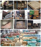 Le stockage de support d'entrepôt de rayonnage de palette en acier de Guangzhou rayonne des systèmes résistants de supports