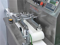 Machine à incruster maoul, ligne de Production de gâteau de lune, Machine à deux trémie Mochi