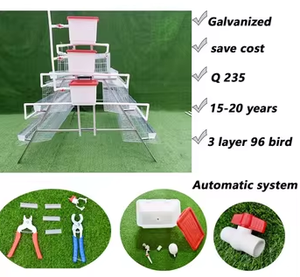 Jaula para Gallinas Ponedoras de 1000 Niveles, Sistema de Bebederos para Cría, 96/128 Aves, Jaula para Gallinas Ponedoras para Avicultura - Product Image 3