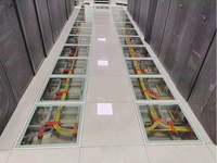 Lingding 600x600mm Antistatische Verstärkte Transparente Glas-Doppelbodenplatten Modell LD600 2-Jahres-Garantie Modernes Design für