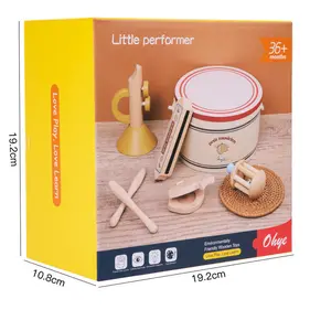 Aangepaste Gepersonaliseerde Houten Instrumenten Kit-Montessori Peuter Muziek Educatief Speelspeelgoed Houten Muziekinstrumenten Set