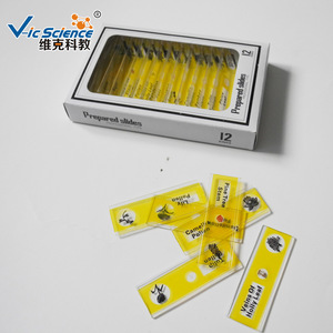 <b>Microscope</b> biological specimen 12-piece toy set: animal, plant, insect biological slides experimental toys - Product Image 3