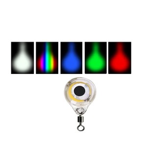 Câu cá <span class=keywords><strong>mini</strong></span> <span class=keywords><strong>LED</strong></span> dưới nước ánh sáng ban đêm thu hút với vật liệu nhựa để thu hút cá - Product Image 4