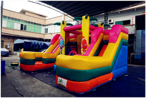 Toboggan aquatique gonflable đổ sử dụng thương mại ET domestique - Product Image 3