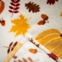 Nouvelles Couvertures Modernes de Luxe en Peluche à Impression Numérique, Design Personnalisé 2026, Prix Usine OEM ODM, Faible MOQ, Plaid pour la Maison et le Lit