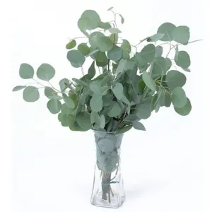 Groothandel Wedding Indoor Decoratieve Goedkope Kunstmatige Eucalyptus Gebladerte Groene Planten Bladeren Tak