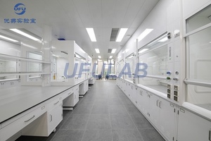 Hot Sale Modern School <strong>Chemistry</strong> Laboratory Commercial Furniture Cold-rolled Steel Wall Workbench Reagent <strong>Fume</strong> <strong>Hood</strong> - Product Image 4