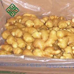 <strong>Ginger</strong> <strong>Exporters</strong> China / Buy Chinese <strong>Ginger</strong> - Product Image 3