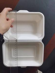 Mía 8x6 Bio container cao nắp thân thiện với môi <span class=keywords><strong>composable</strong></span> bã mía bột giấy dùng một lần bã mía thực phẩm container - Product Image 5