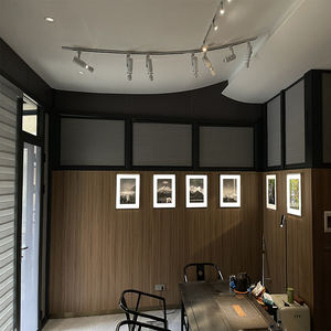 Moderner Fokus Cob Rail LED-Licht projektor 220V PVC-Körper Zoo mable Shape able Cut für Museum Art Gallery Paintings 3-Draht-Schiene - Product Image 1