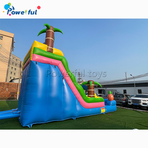 Tobogán de agua inflable de gran piña de nuevo diseño con piscina para niños, Tobogán al aire libre - Product Image 3
