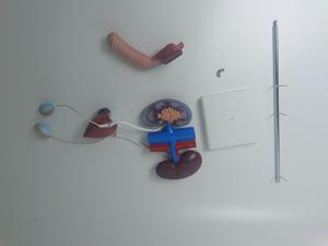 Modèle de système urogénital masculin anatomique de démonstration authentique d'anatomie humaine d'éducation médicale pour la formation de pratique d'enseignement - Product Image 2