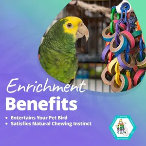 Top Safe materiale rampicante pappagallo colorato uccello altalena da masticare appesi accessori pappagallo in legno giocattoli da masticare per uccelli