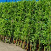 Bambou artificiel réaliste pour la décoration de la maison, du jardin et de l'hôtel, plantes artificielles de haute qualité, plantes artificielles d'intérieur, bonsaïs artificiels