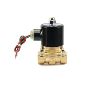 Materiale d'ottone 220V 110V 12V 24V 36V modo 2/2 normalmente Open Close controllo dell'acqua elettrovalvola a solenoide 2w-250-25 per acqua