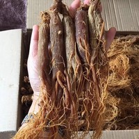 Racine de ginseng rouge séchée AD de qualité supérieure, complément alimentaire naturel à base de plantes, stimule l'énergie, soutient la santé immunitaire