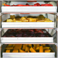 Machine de séchage sous vide à domicile, ml, nébuliseur de Fruits et légumes, petit format, appareil à nettoyer la maison