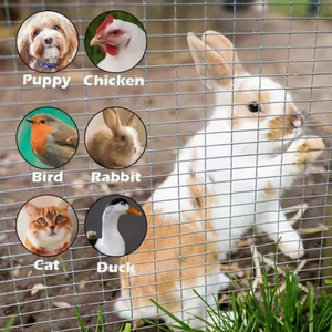 Maille de fil soudé en acier inoxydable 304 pour clôture de ferme et construction, découpe sur mesure - Product Image 5