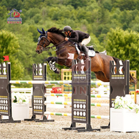 Obstacles équins Les produits pour chevaux montrent une aile de saut Innovative Show Jumping Obstacles