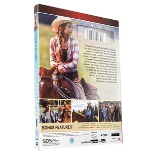Colección Completa de la <span class=keywords><strong>Serie</strong></span> Regional <span class=keywords><strong>2</strong></span> en DVD, Películas y Programas de Televisión, Suministro de Fábrica, Nuevos Lanzamientos, Heartland <span class=keywords><strong>Temporada</strong></span> 15, 3 DVD - Product Image 2