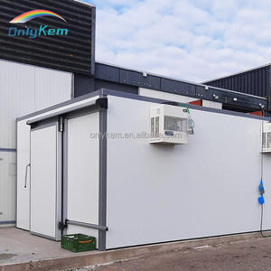 Cella Frigorifera Modulare 4*3*2.5m, Congelatore Walk-in per Pollo - Product Image 2