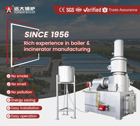 Incinerador de Residuos Médicos para Hospitales y Clínicas, Sin Humo, para Residuos Peligrosos, de 20, 50, 100, 150, 200, 300, 500 kg, Precio de Fabricante